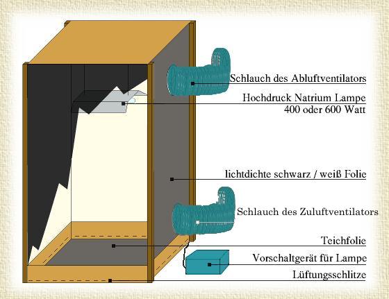 Grafik: selbstgebaute Blühkammer